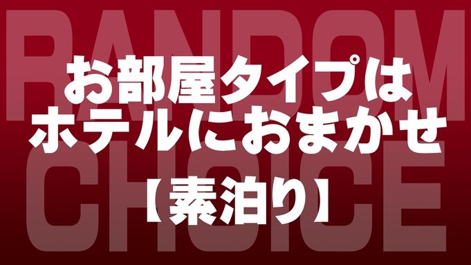 【お部屋要望一切不可】全部で7タイプ！食事なし ミステリールームプラン★☆